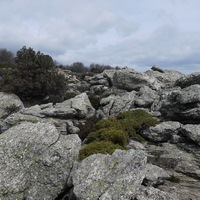 Photo de france - La randonnée du Mont Caroux